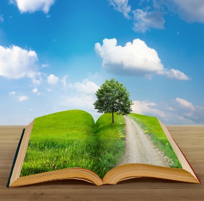 lettura lettura