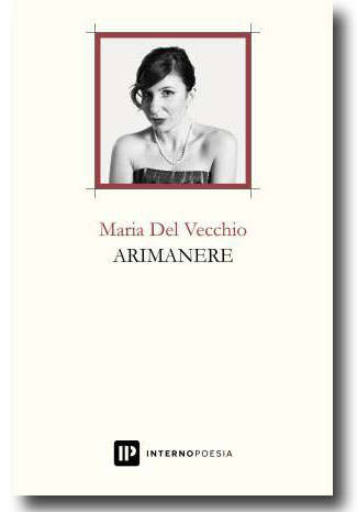 cover Arimanere arimanere