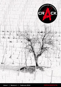 cover-crack n.1