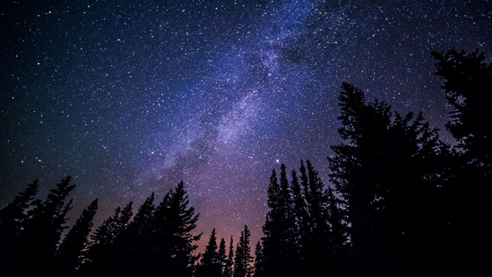 Stelle stars