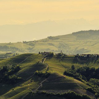 langhe