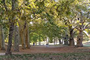 villa-borghese