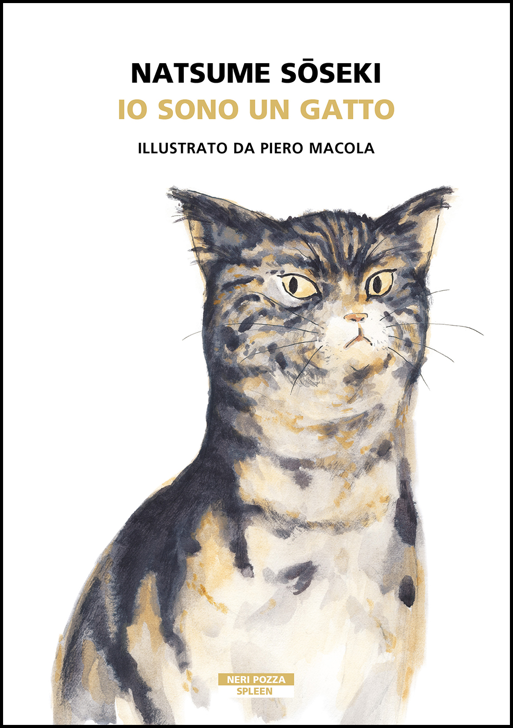io-sono-un-gatto-2