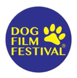 ap-dog-festival