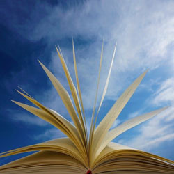 Crisi della carta libro