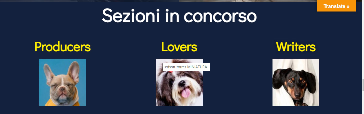 selezioni-in-corcorso