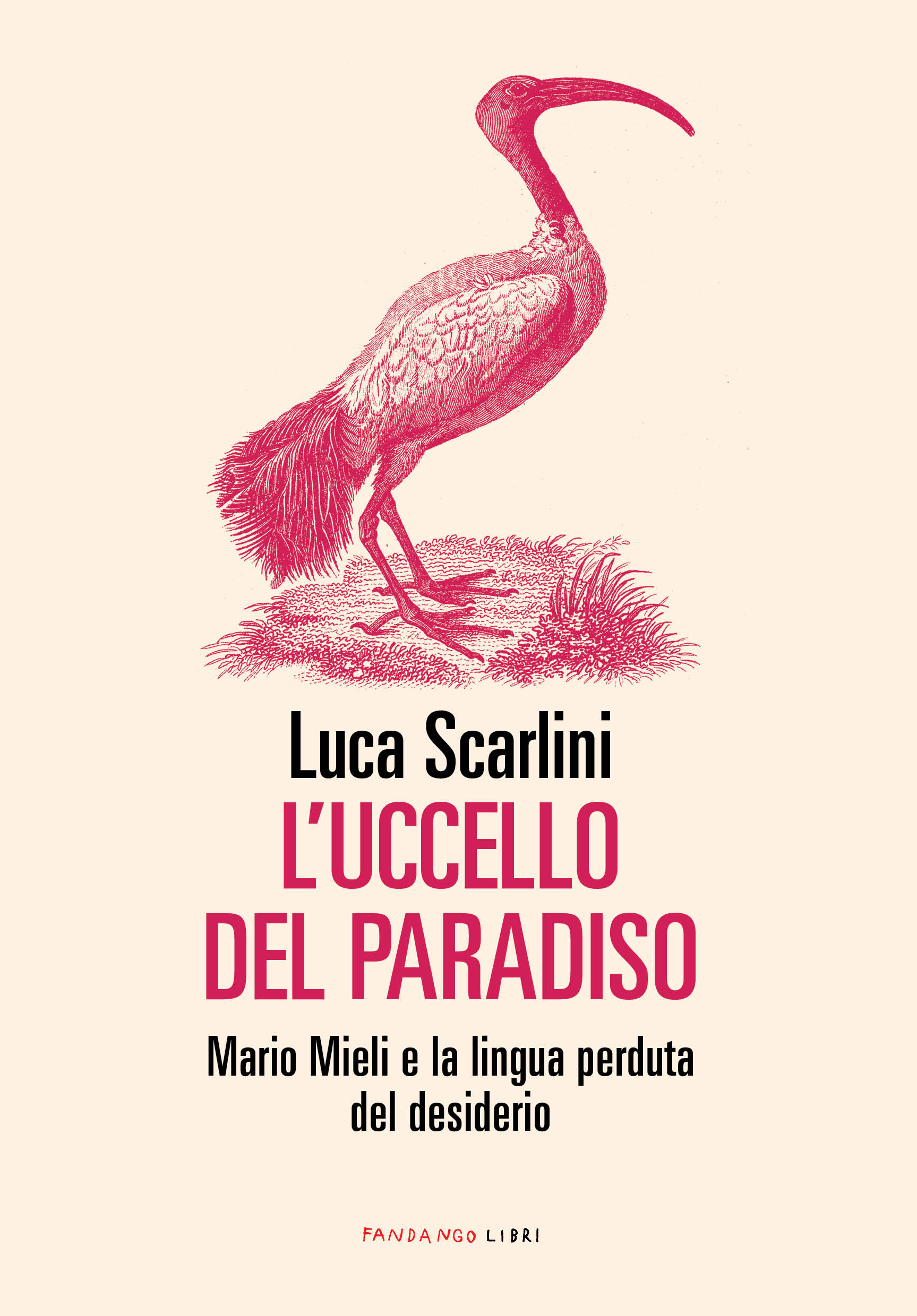 luccello del paradiso