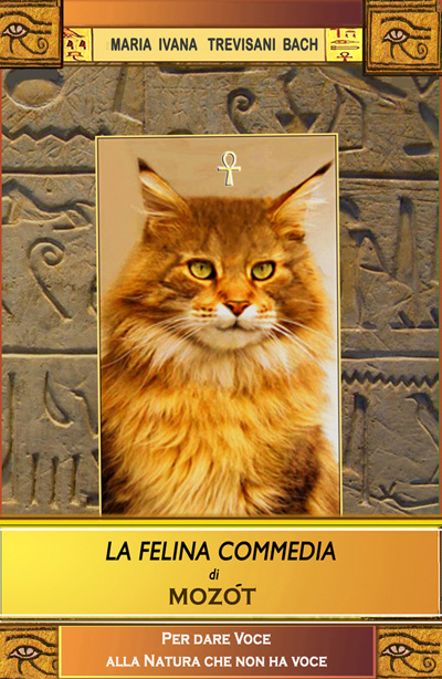 copertina Felina Commedia copertina Felina Commedia