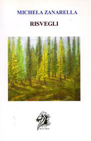 cover Risvegli cover-risvegli