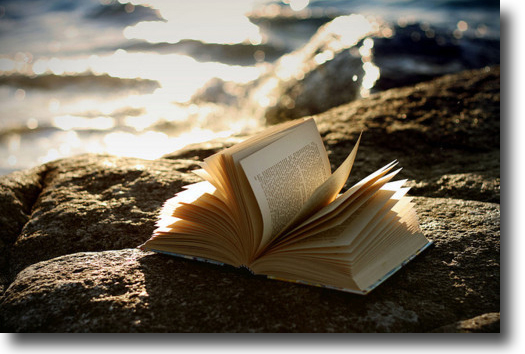 Libro Libro