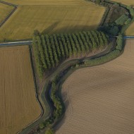 Monferrato copyright http://www.naturaltravel.it/blog/viaggi/monferrato-a-testa-in-giu.html
