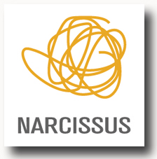 logo Narcissus.me narcissus